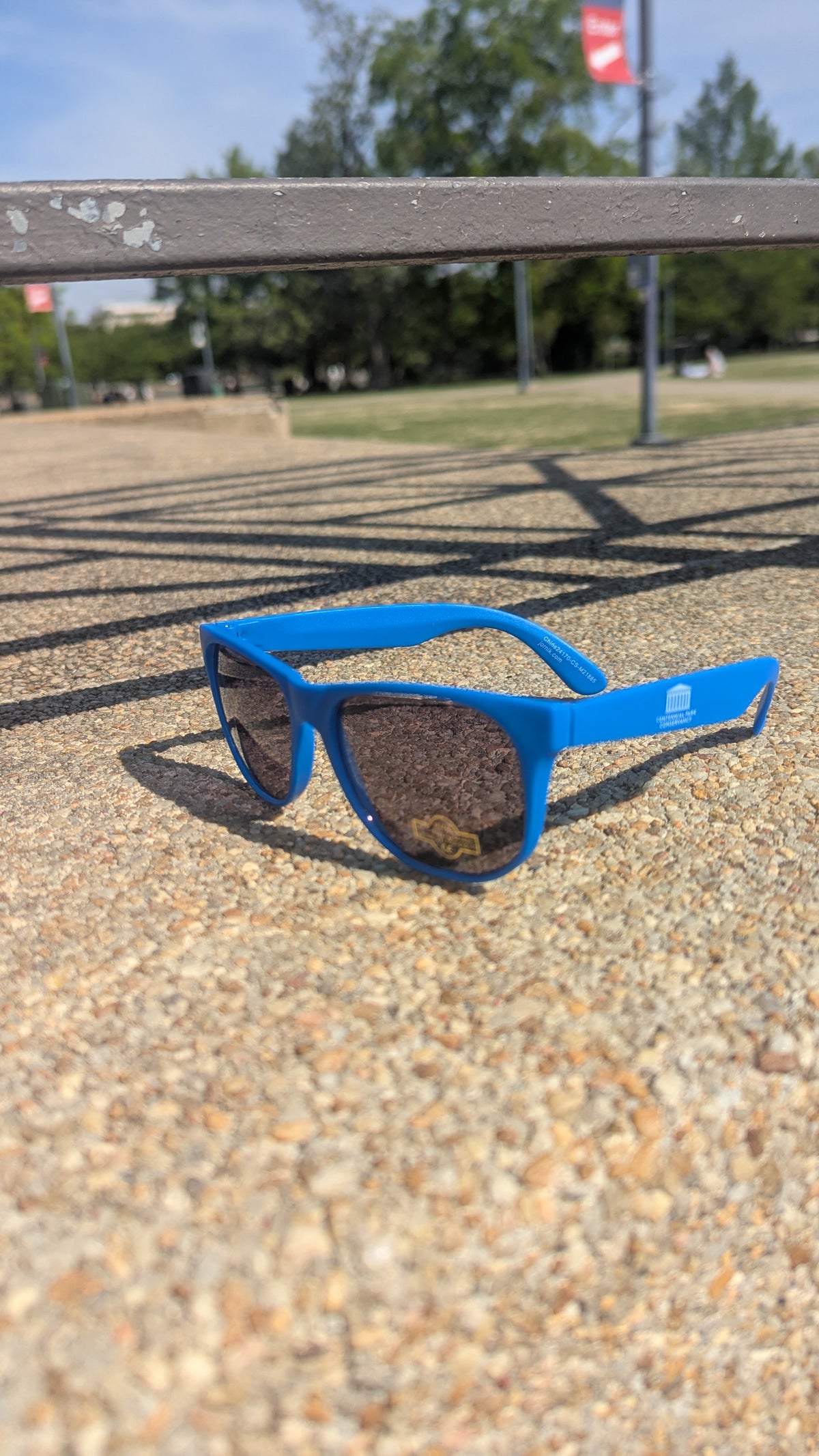 Centennial Park Sunglasses